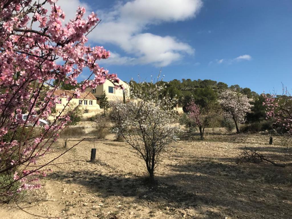 Finca Las Estrellas Relleu Dış mekan fotoğraf