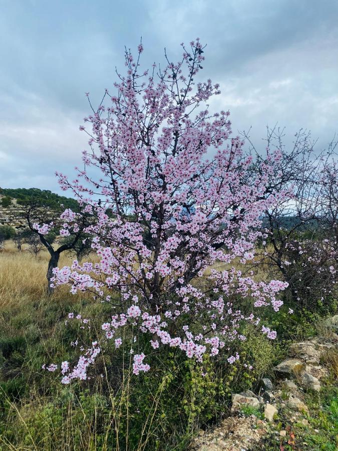 Finca Las Estrellas Relleu Dış mekan fotoğraf