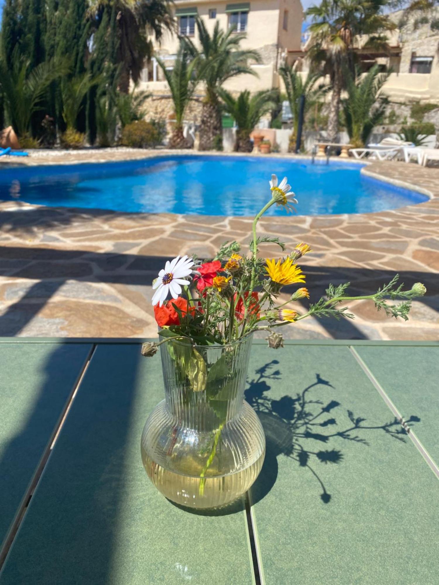 Finca Las Estrellas Relleu Dış mekan fotoğraf